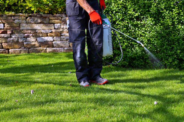 Best Pest Exclusion Services  in Chevy Chase Village, MD